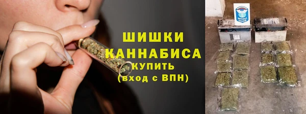 стаф Новодвинск