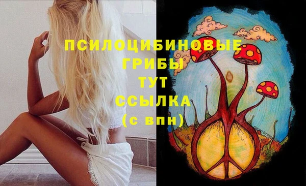 первитин Новокубанск