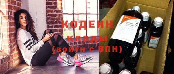стаф Новодвинск