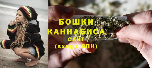 стаф Новодвинск
