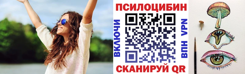 Галлюциногенные грибы Psilocybe  как найти   kraken зеркало  Спасск-Дальний 