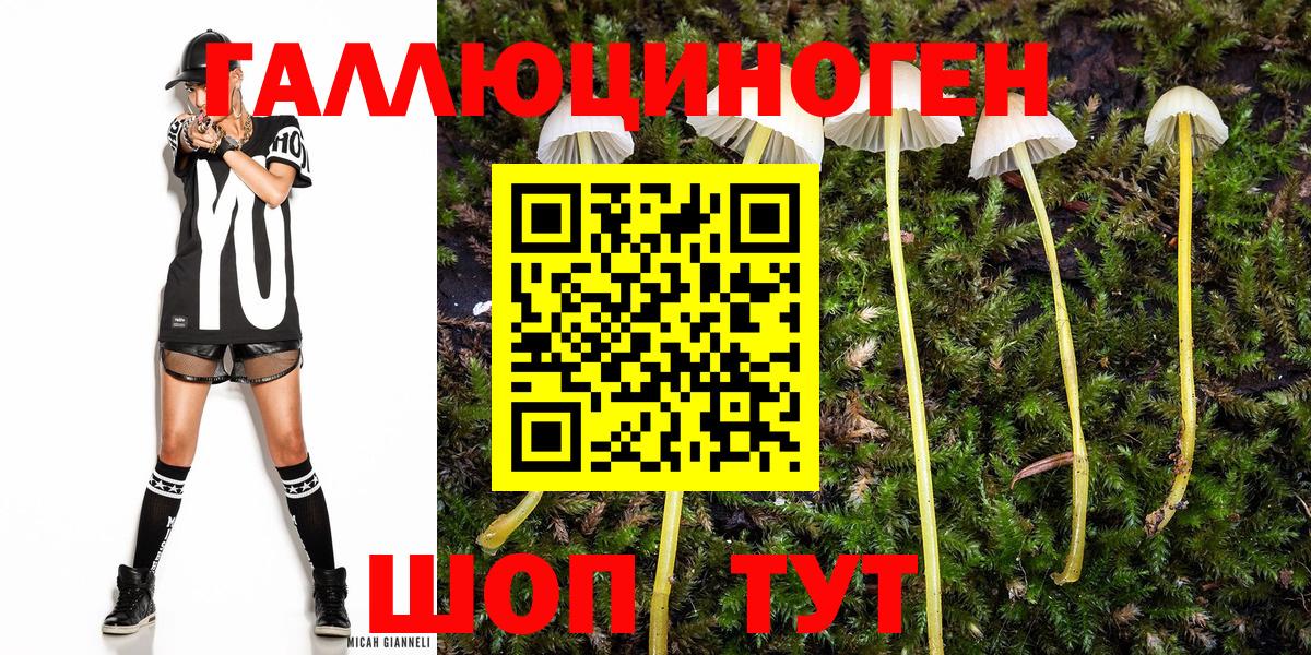 Галлюциногенные грибы Cubensis  Псилоцибиновые грибы мухоморы  Спасск-Дальний  Вход с VPN 